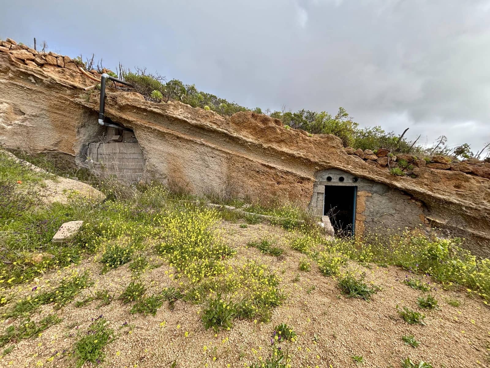 Terre non Aménagée à vendre à Guimar - 39 500 € (Ref: 9799265)