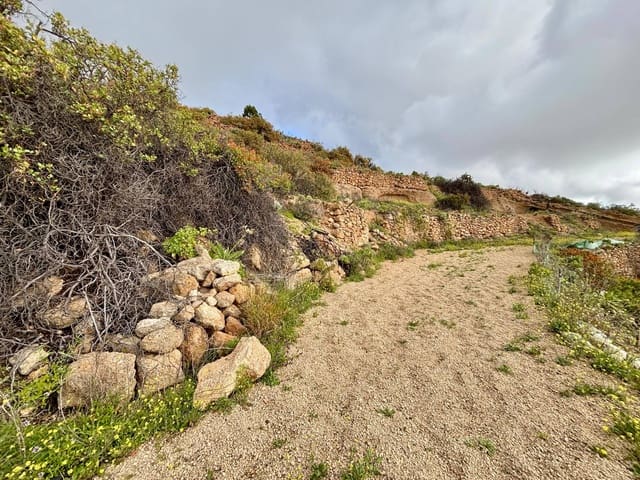 Terre non Aménagée à vendre à Güímar - 39 500 € (Ref: 9799265)