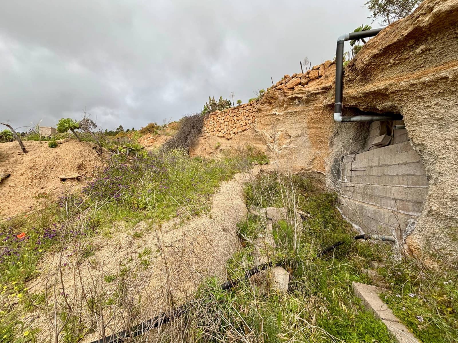 Terre non Aménagée à vendre à Guimar - 39 500 € (Ref: 9799265)