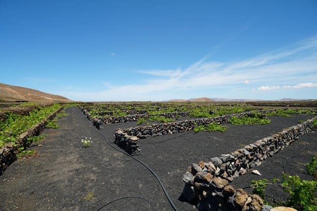 Ubebygd land til salgs i Tinajo - € 90 000 (Ref: 9822933)