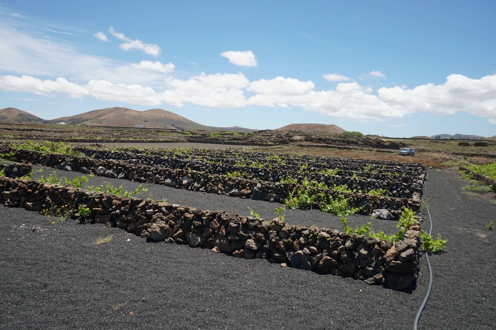 Undeveloped Land for sale in Tinajo - € 90,000 (Ref: 9822933)