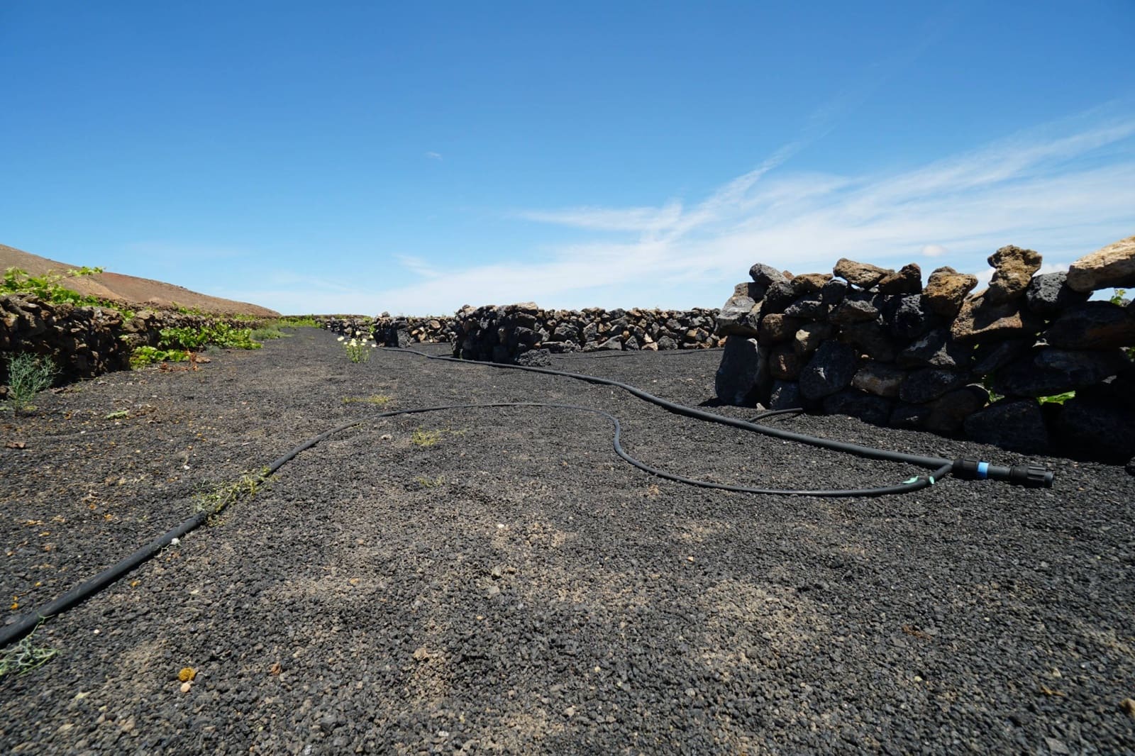 Undeveloped Land for sale in Tinajo - € 90,000 (Ref: 9822933)