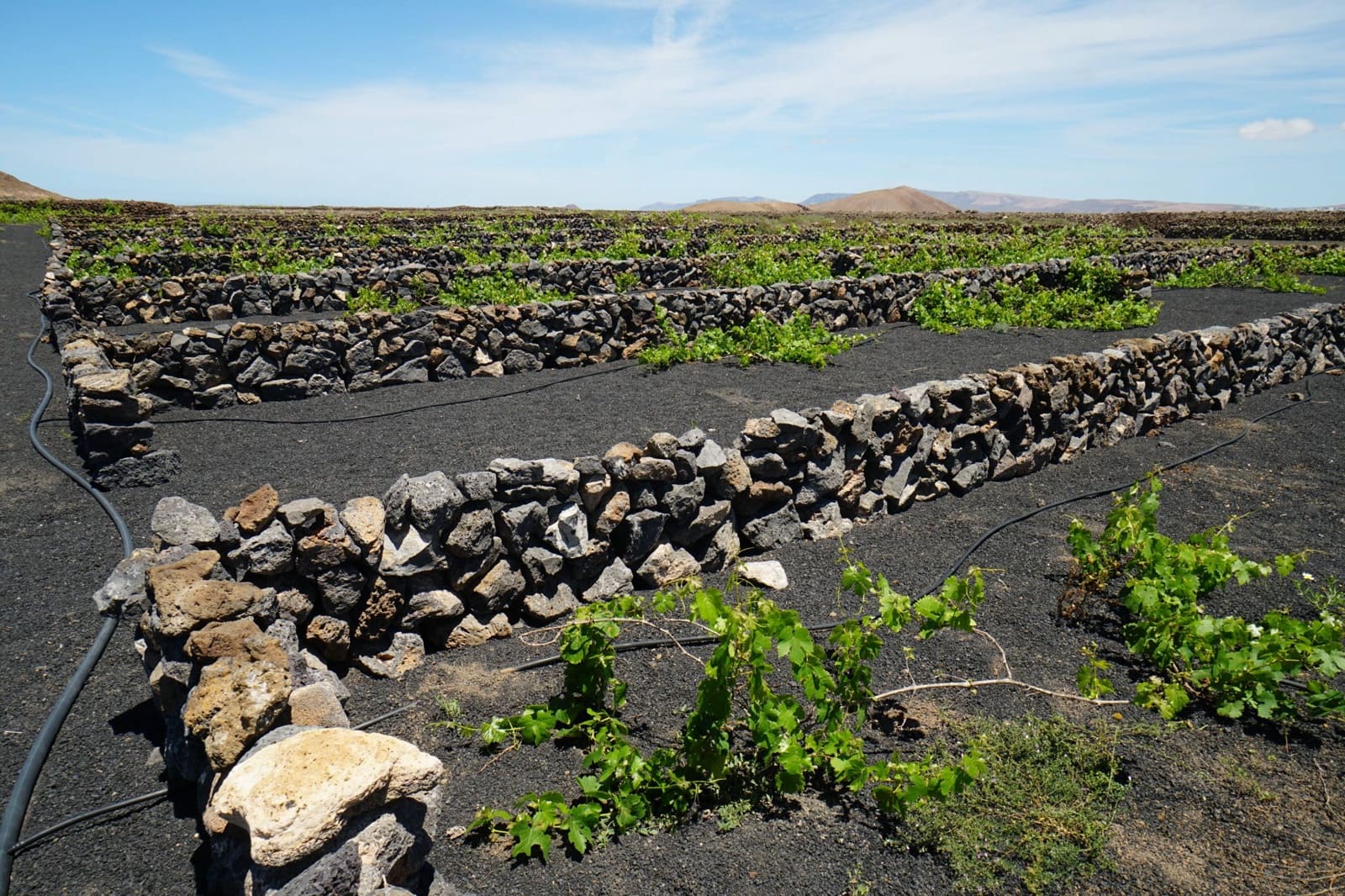 Undeveloped Land for sale in Tinajo - € 90,000 (Ref: 9822933)