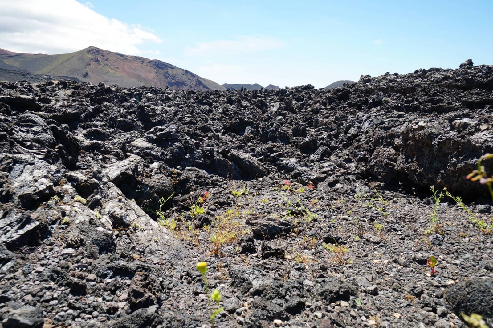 Undeveloped Land for sale in Tinajo - € 90,000 (Ref: 9822933)