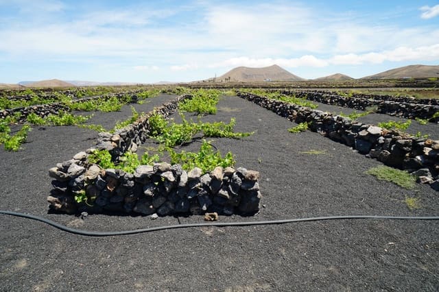 Ubebygd land til salgs i Tinajo - € 90 000 (Ref: 9822933)