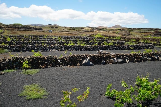 Ubebygd land til salgs i Tinajo - € 90 000 (Ref: 9822933)