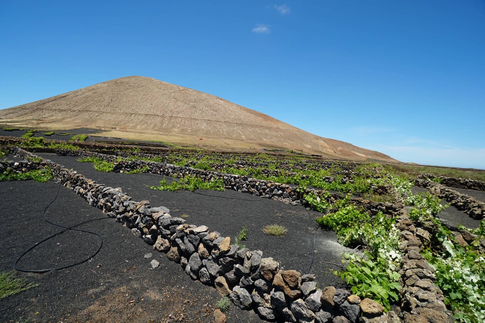 Undeveloped Land for sale in Tinajo - € 90,000 (Ref: 9822933)