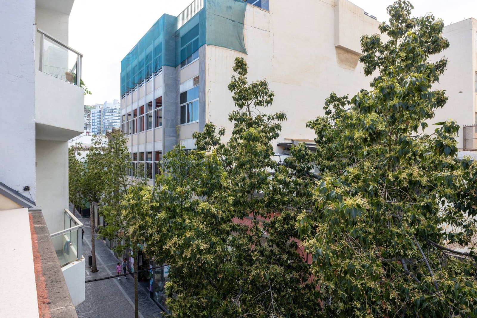 2 Zimmer Penthouse zu vermieten in Las Palmas de Gran Canaria - 1.200 € (Ref: 9829163)