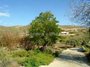 Finca/Country House for sale in Albox - € 39,000 (Ref: 3396705)