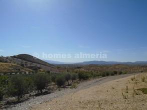 1 bedroom Apartment for rent in Albox - € 300 (Ref: 3580766)