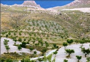 Finca/Landhuis te koop in Saliente Alto - € 16.000 (Ref: 3608721)