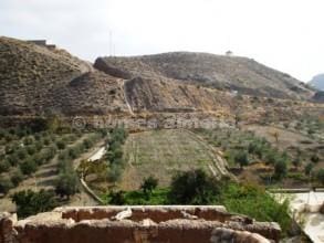 3 sovrum Hus till salu i Oria - 119 000 € (Ref: 4914145)