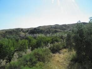 7 bedroom Finca/Country House for sale in Taberno - € 105,000 (Ref: 6956854)