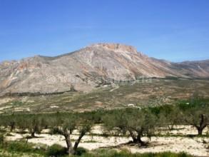 3 soverom Villa til salgs i Velez-Blanco - € 194 000 (Ref: 756050)