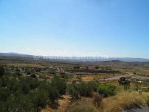 3 soveværelse Finca/Landehus til salg i Arboleas med swimmingpool - € 239.000 (Ref: 7800775)