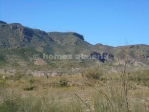 Undeveloped Land for sale in Zurgena - € 19,950 (Ref: 8252206)