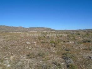 Undeveloped Land for sale in Zurgena - € 19,950 (Ref: 8252206)