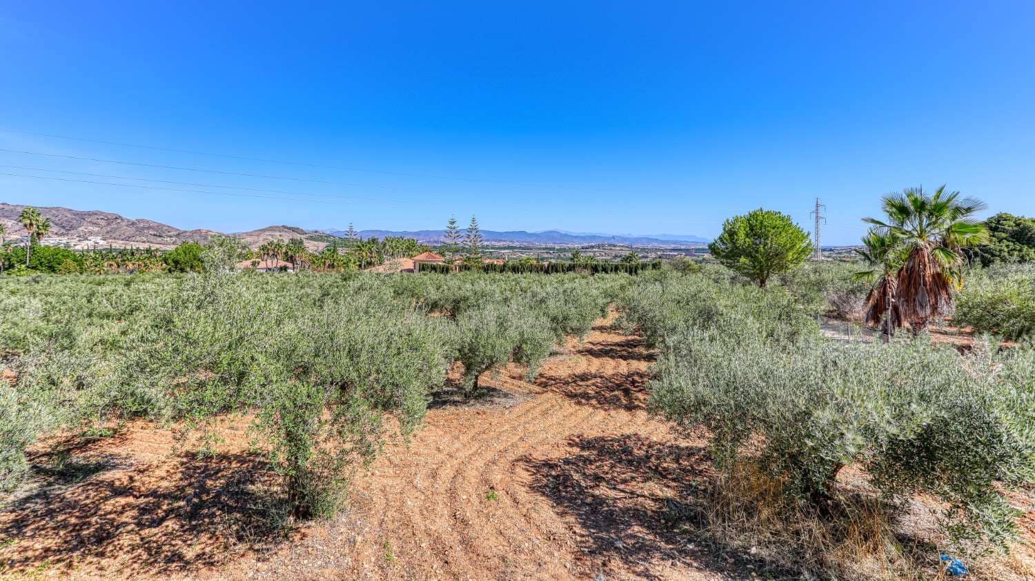 Finca/Casa Rural de 8 habitaciones en Alhaurín de la Torre en venta con piscina - 1.900.000 € (Ref: 3100017)
