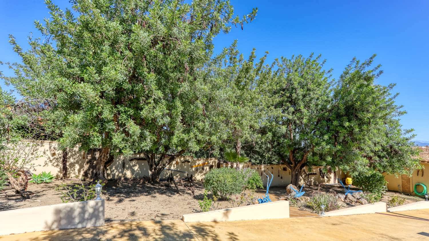 Finca/Casa Rural de 8 habitaciones en Alhaurín de la Torre en venta con piscina - 1.900.000 € (Ref: 3100017)