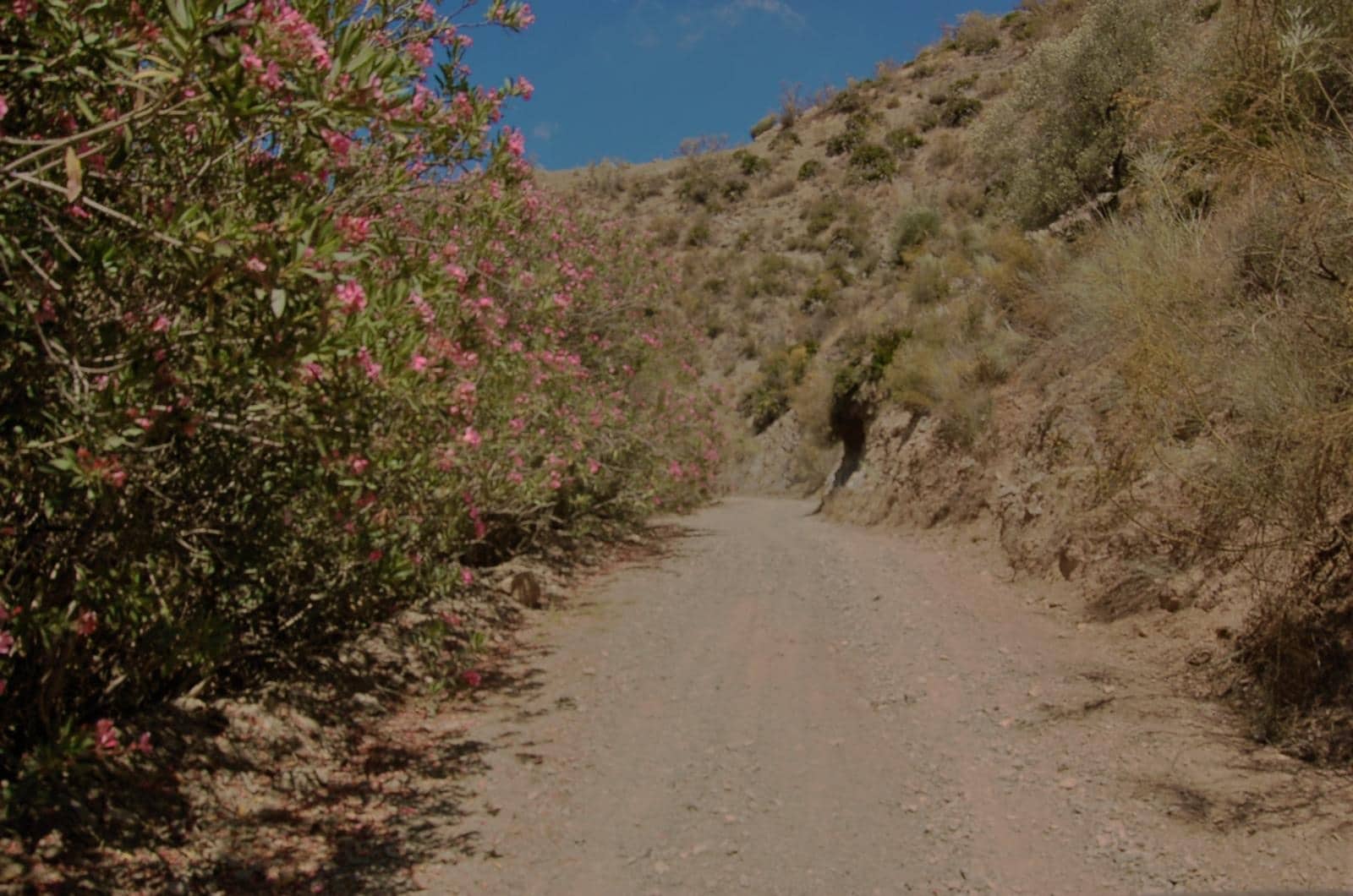 Finca/Landehus til salg i Cartama - € 600.000 (Ref: 3416547)