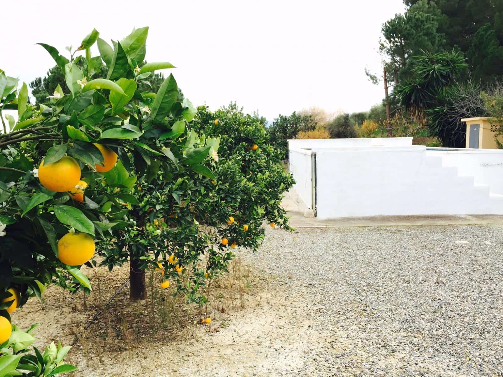 Finca/Landhuis te koop in Pizarra met zwembad - € 160.000 (Ref: 4397136)