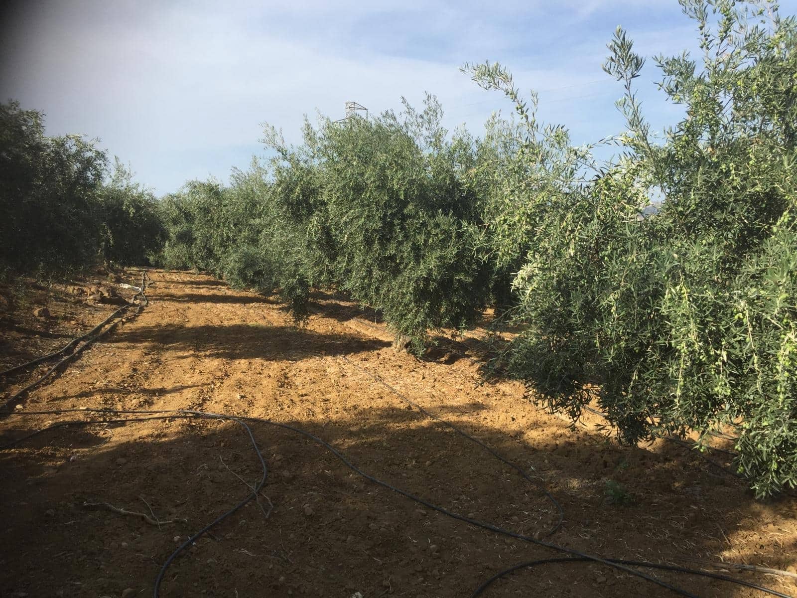 Finca/Landhuis te koop in Pizarra met zwembad - € 160.000 (Ref: 4397136)