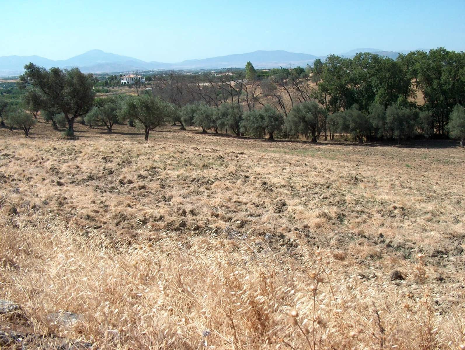 Finca/Landhuis te koop in Alhaurin el Grande - € 330.000 (Ref: 5343916)