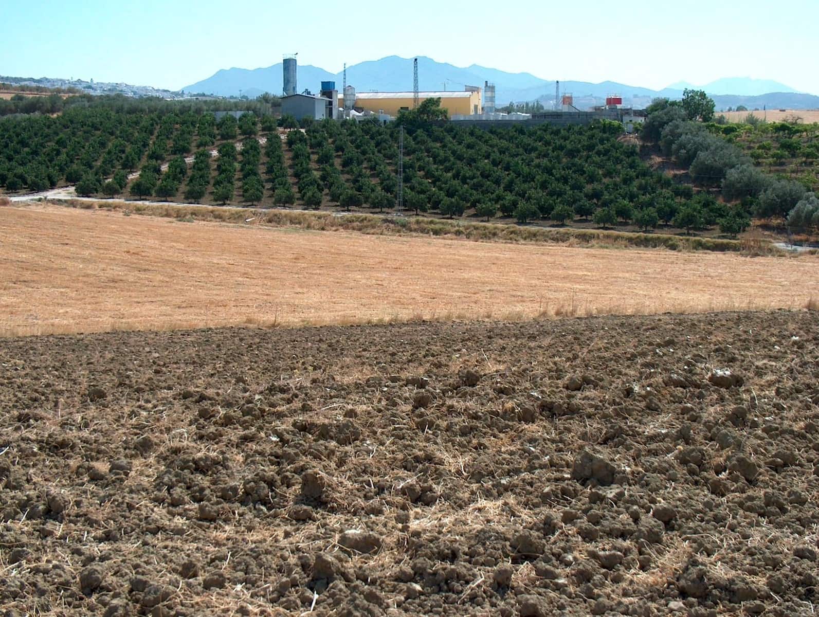 Finca/Landhuis te koop in Alhaurin el Grande - € 330.000 (Ref: 5343916)