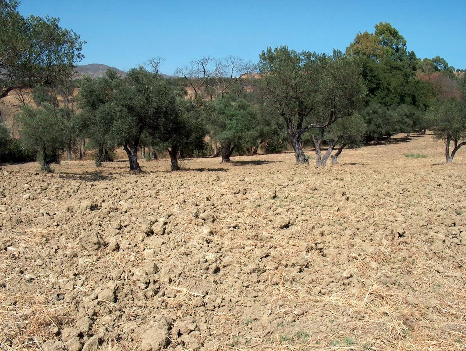 Finca/Landhuis te koop in Alhaurin el Grande - € 330.000 (Ref: 5343916)