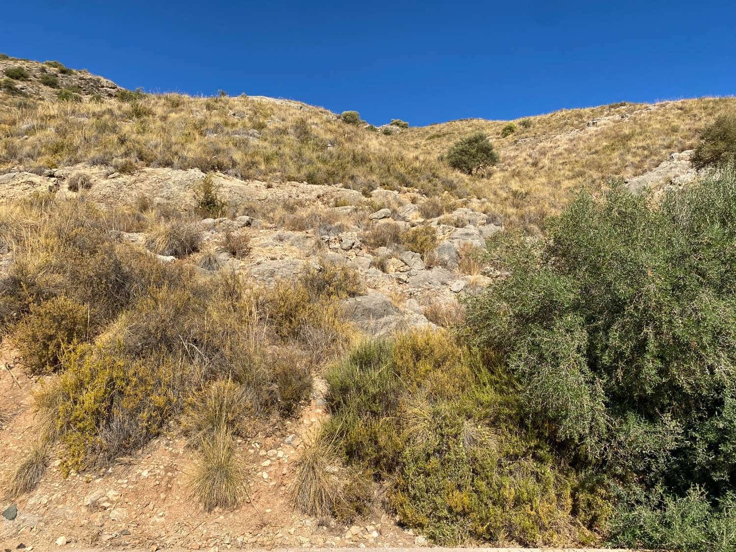 Byggegrund til salg i Coin - € 110.000 (Ref: 7442541)