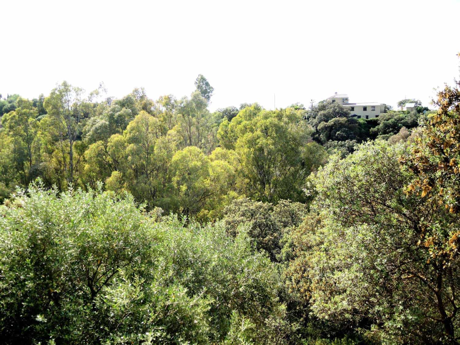 5 chambre Finca/Maison de Campagne à vendre à Alhaurin el Grande avec piscine - 580 000 € (Ref: 7588600)