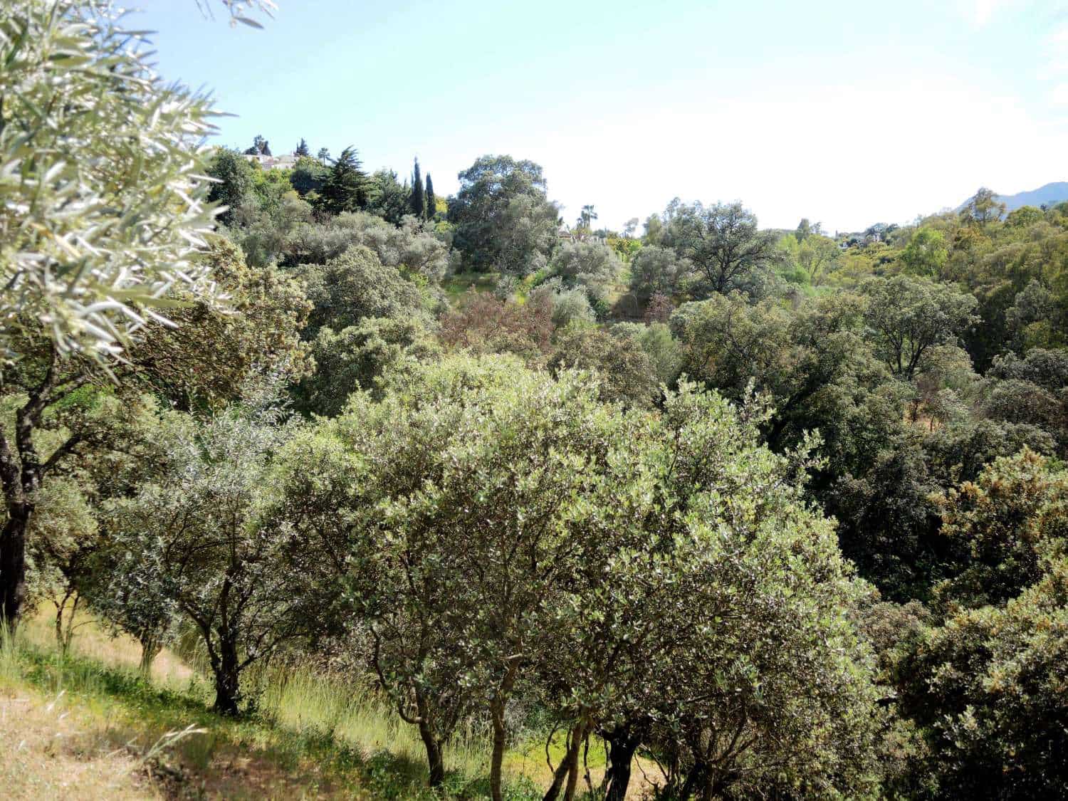 5 chambre Finca/Maison de Campagne à vendre à Alhaurin el Grande avec piscine - 580 000 € (Ref: 7588600)