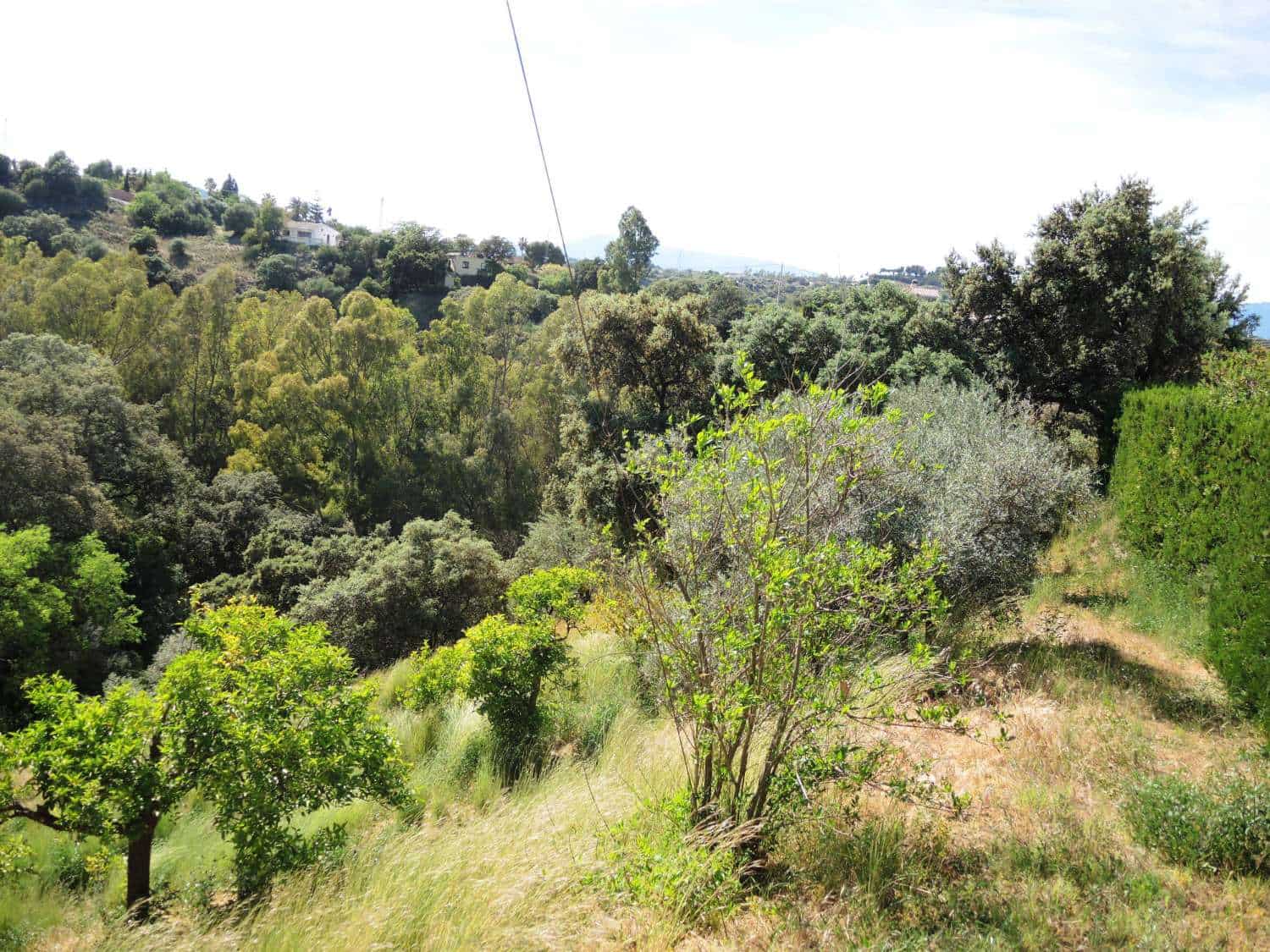 5 chambre Finca/Maison de Campagne à vendre à Alhaurin el Grande avec piscine - 580 000 € (Ref: 7588600)