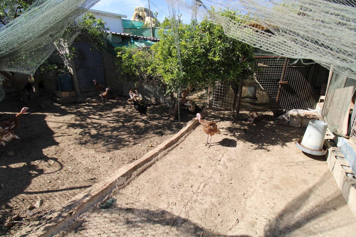 6 camera da letto Finca/Casa di Campagna in vendita in Alhaurin de la Torre con piscina - 1.270.000 € (Rif: 7858311)