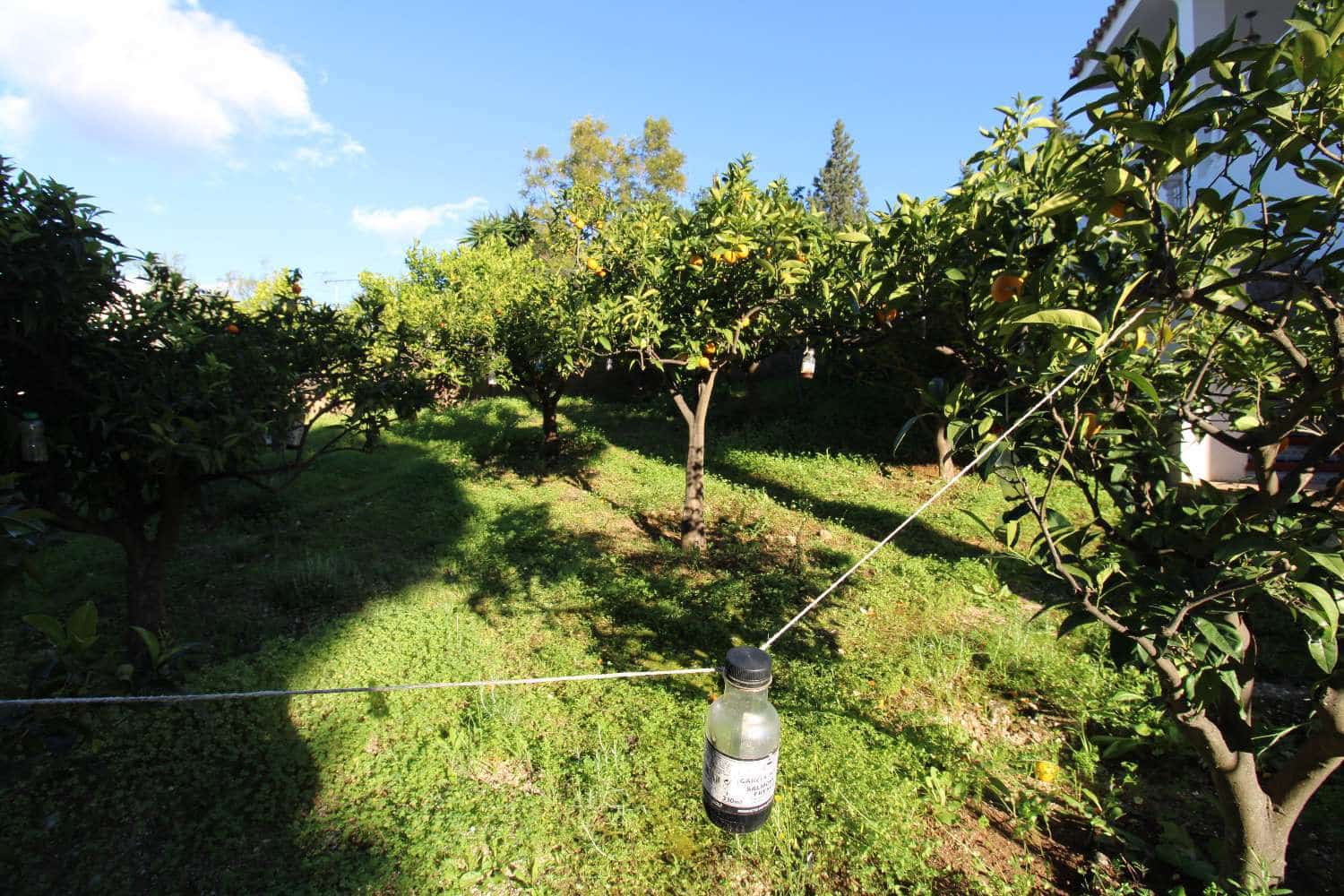 3 chambre Villa/Maison à vendre à Alhaurin de la Torre avec piscine - 579 000 € (Ref: 8769947)