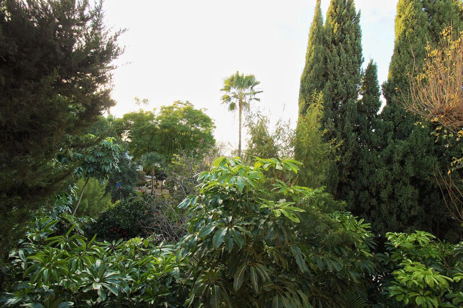 3 bedroom Flat for sale in Alhaurin de la Torre with garage - € 320,000 (Ref: 8769948)