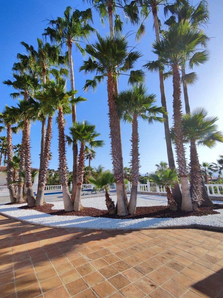 4 chambre Villa/Maison à vendre à Alhaurin de la Torre avec piscine - 840 000 € (Ref: 8805840)