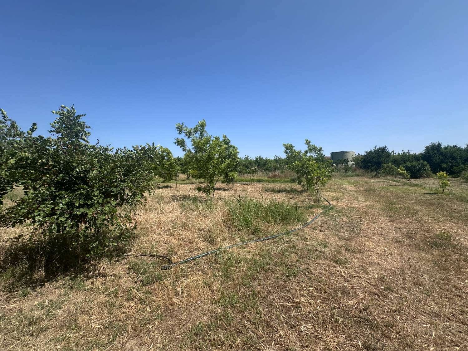 Finca/Landehus til salg i Alhaurin de la Torre - € 250.000 (Ref: 9036386)