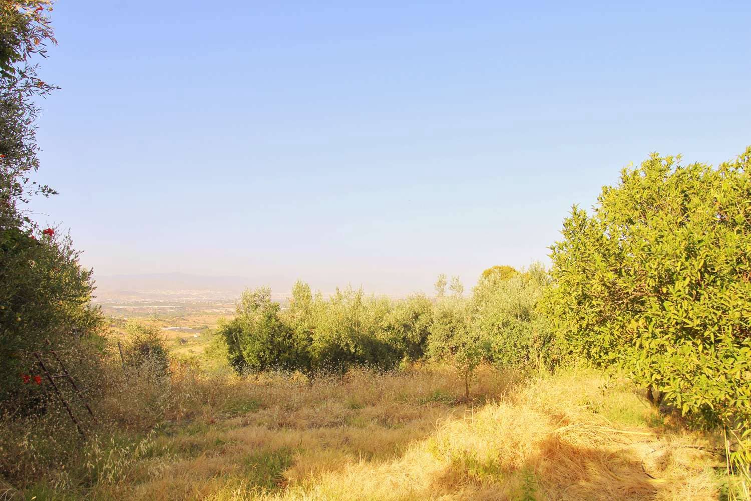 Building Plot for sale in Alhaurin de la Torre - € 75,000 (Ref: 9129458)