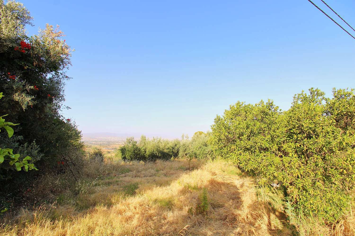 Building Plot for sale in Alhaurin de la Torre - € 75,000 (Ref: 9129458)