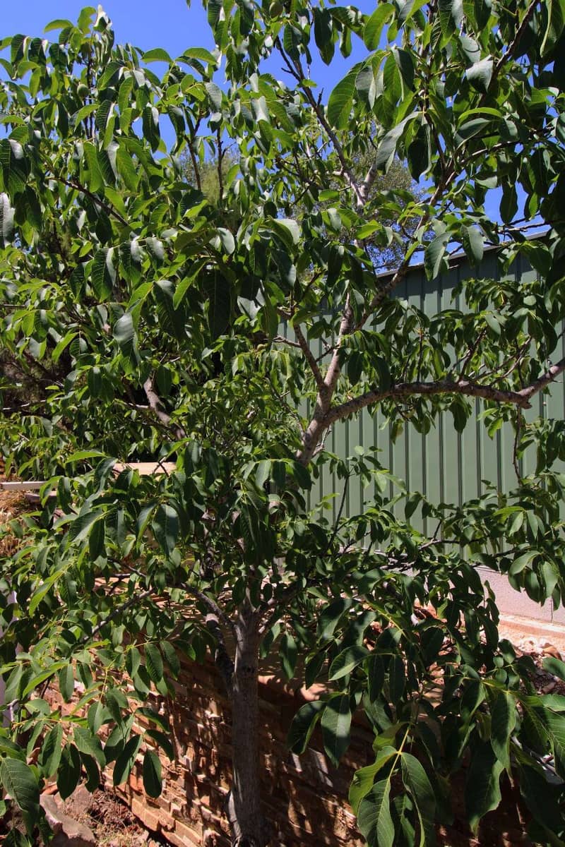 4 quarto Moradia para venda em Alhaurin de la Torre com piscina - 650 000 € (Ref: 9141314)