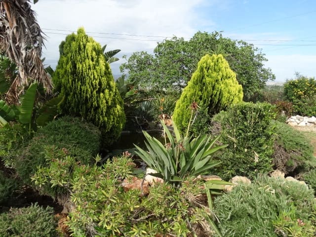 3 sypialnia Willa do wynajęcia w Alhaurin de la Torre z basenem garażem - 2 500 € (Ref: 9465155)