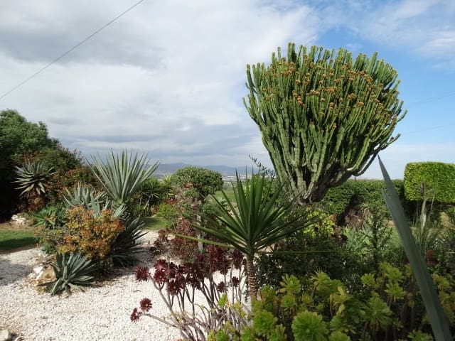 3 sypialnia Willa do wynajęcia w Alhaurin de la Torre z basenem garażem - 2 500 € (Ref: 9465155)