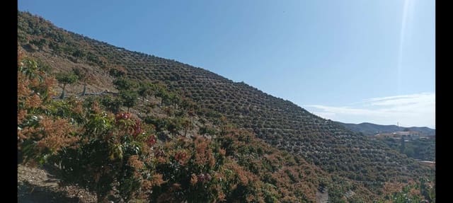 Finca/Landgut zu verkaufen in Rincón de la Victoria - 1.435.000 € (Ref: 9543012)