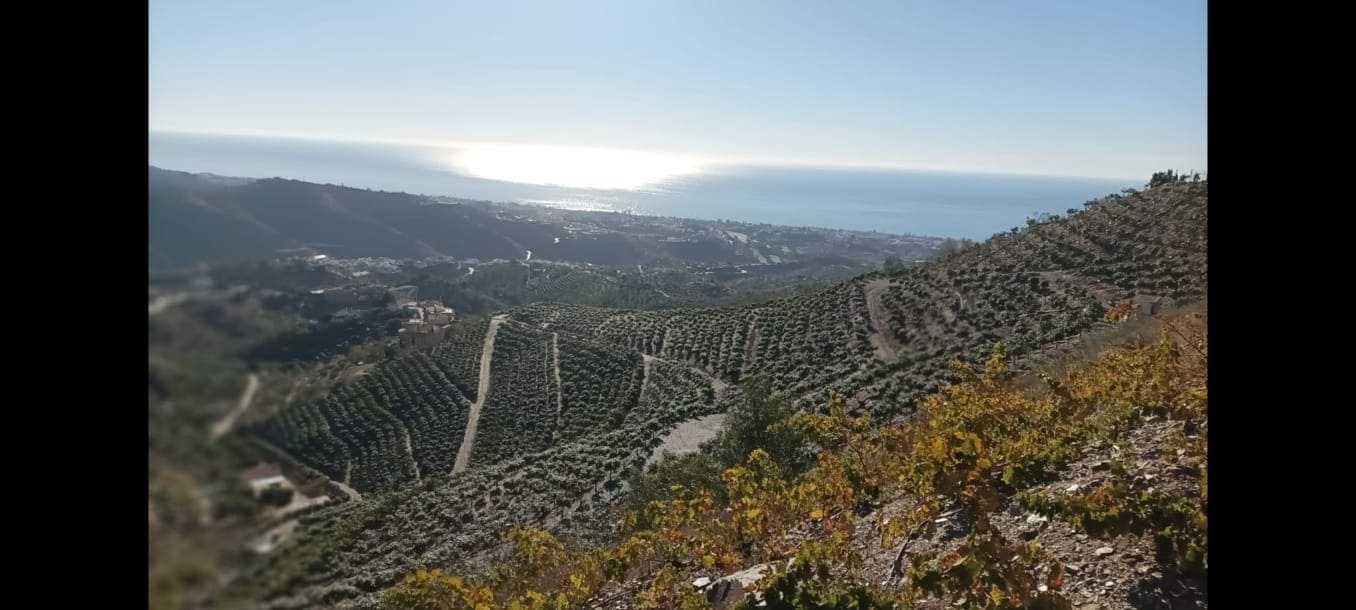 Finca/Landgut zu verkaufen in Rincon de la Victoria - 1.435.000 € (Ref: 9543012)