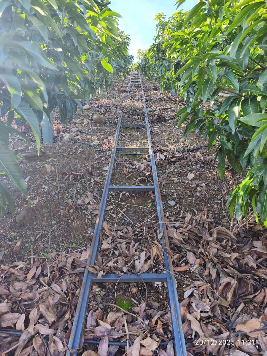 Finca/Landgut zu verkaufen in Rincon de la Victoria - 1.435.000 € (Ref: 9543012)