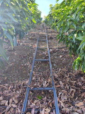 Finca/Landgut zu verkaufen in Rincón de la Victoria - 1.435.000 € (Ref: 9543012)