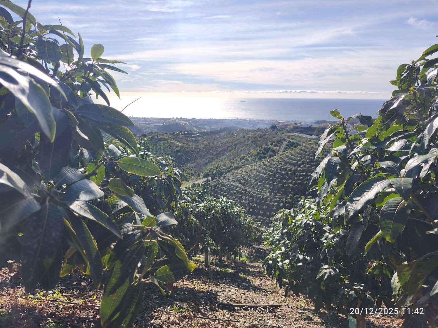 Finca/Landgut zu verkaufen in Rincon de la Victoria - 1.435.000 € (Ref: 9543012)