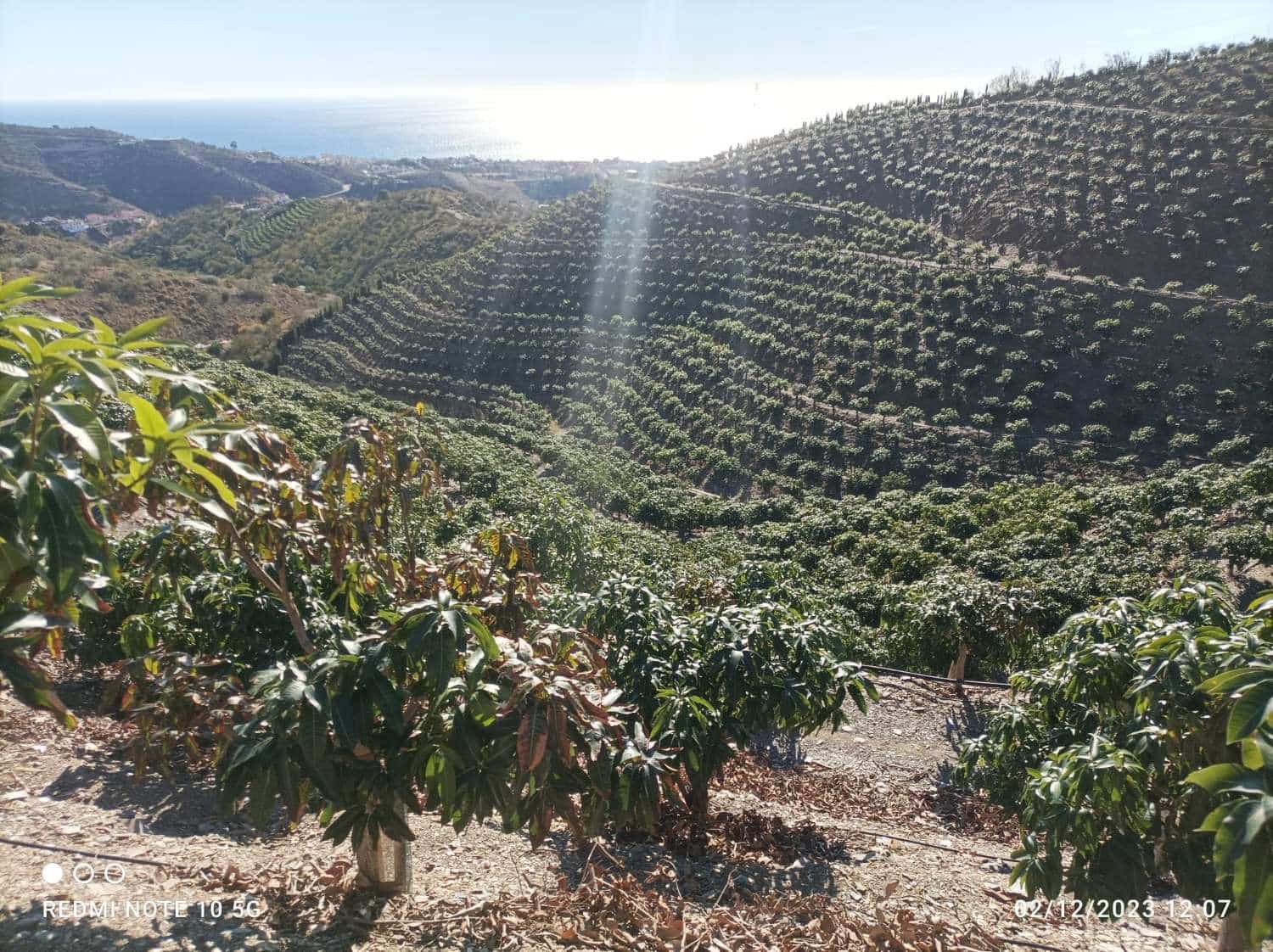 Finca/Landgut zu verkaufen in Rincon de la Victoria - 1.435.000 € (Ref: 9543012)