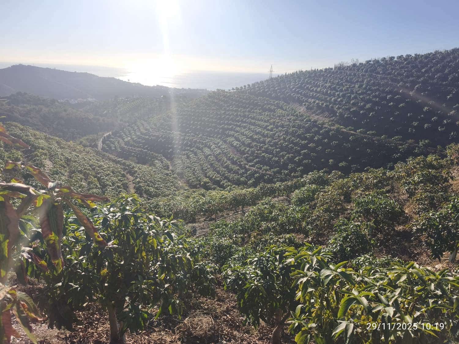 Finca/Landgut zu verkaufen in Rincon de la Victoria - 1.435.000 € (Ref: 9543012)